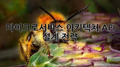 마이크로서비스 아키텍처 API 설계 전략