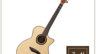 고퍼우드 G130CE 🎸 역대급 할인! 솔직 후기 & 꿀팁 대방출