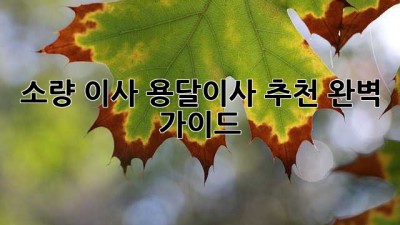소량 이사? 용달이사 추천 완벽 가이드!