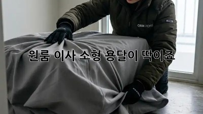 원룸 이사? 소형 용달이 딱이죠!
