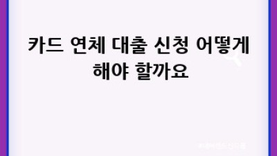 카드 연체? 이젠 걱정 붙들어 매세요!